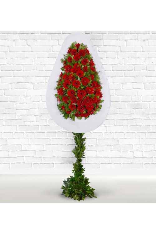 Kırmızı Gerbera Sepeti Canlı