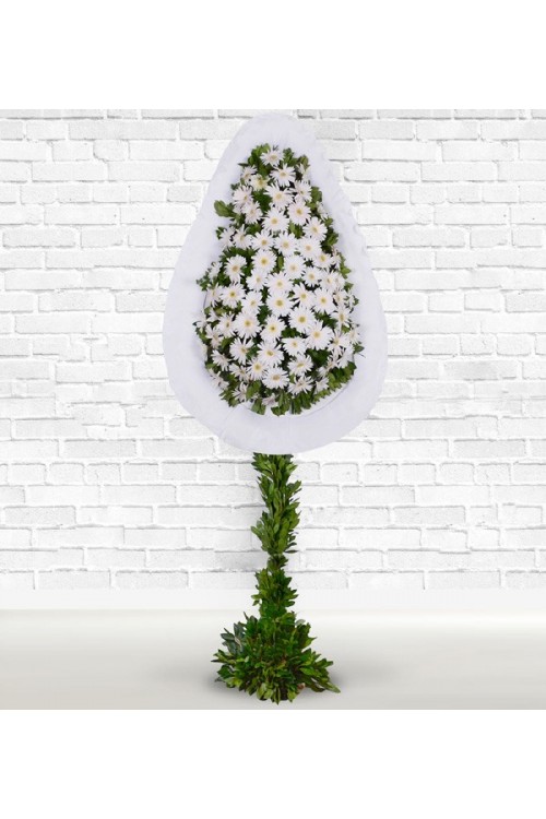 Beyaz Gerbera Sepeti Canlı